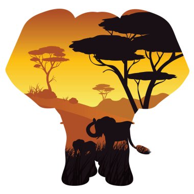 Fil ile Afrika günbatımı