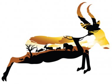 Antilop ile günbatımı manzara