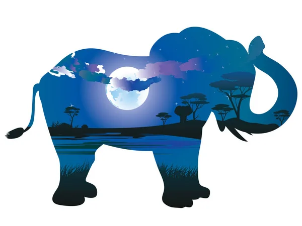 Noche africana con elefante — Vector de stock