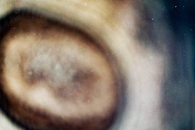 Odasında bulanık toz