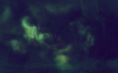 Mystic gece orman