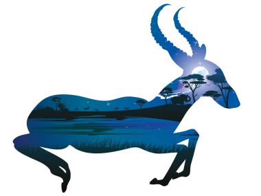 Antilop ile gece manzarası