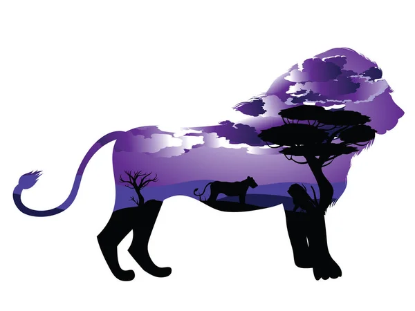 非洲夜与狮子 — 图库矢量图片