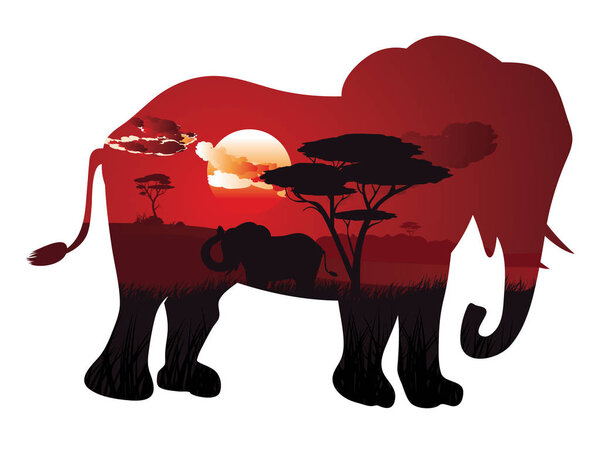 Африканский закат со слоном
