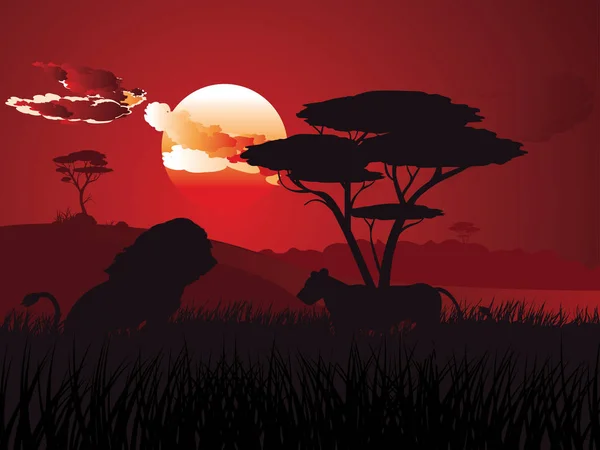 African Sunset med Lion — Stock vektor