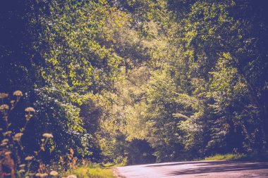 Güneşli kırık kırsal yol filtre