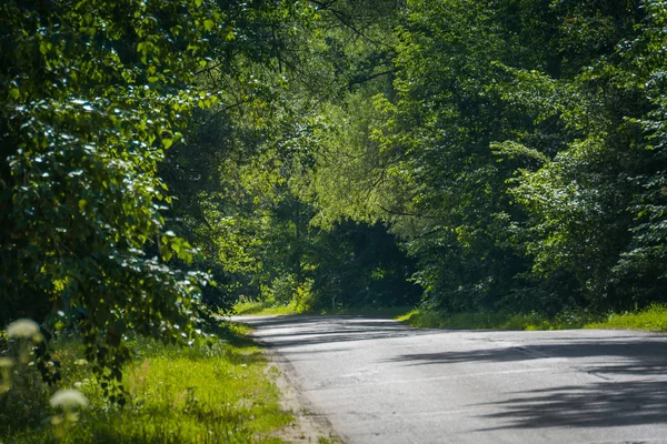 Güneşli kırık kırsal yol