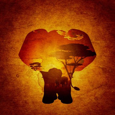 Fil Grunge ile Afrika günbatımı