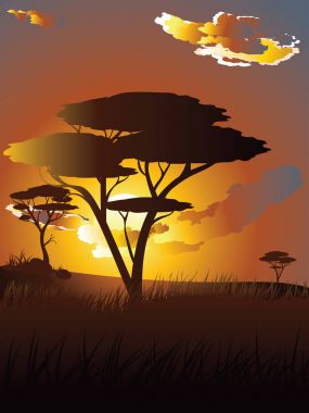 Afrika günbatımı manzara