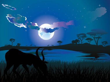 Antilop ile gece manzarası