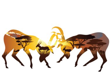 Antilop ile günbatımı manzara