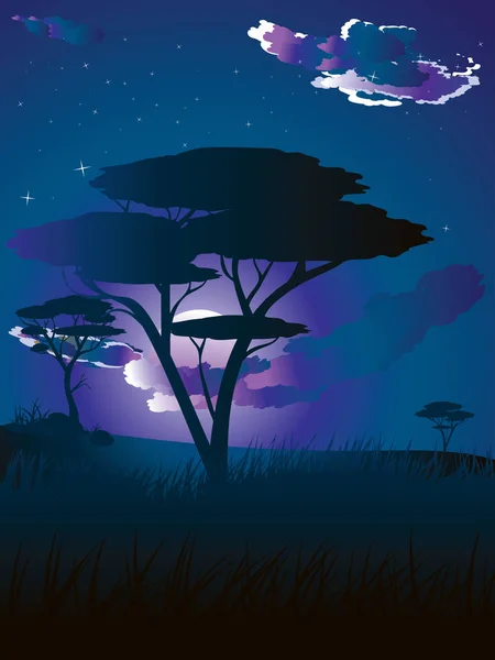 Afrikanische Nachtlandschaft — Stockvektor