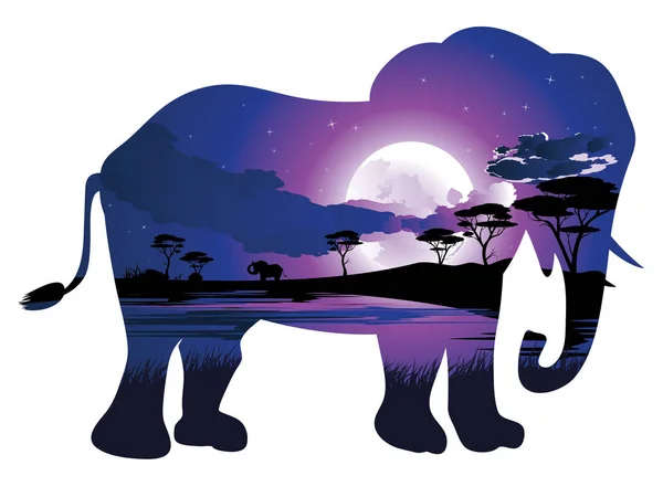 African Night with Elephant — Stock Vector