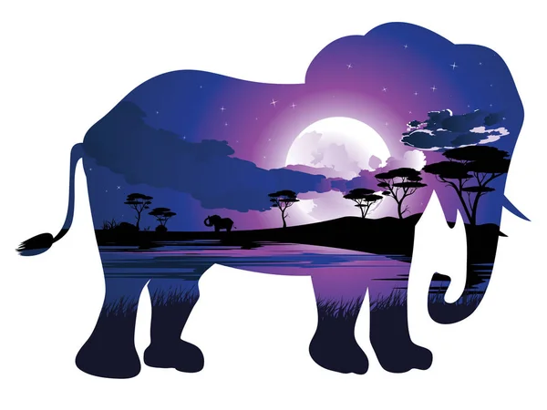 Afrikaanse nacht met olifant — Stockvector