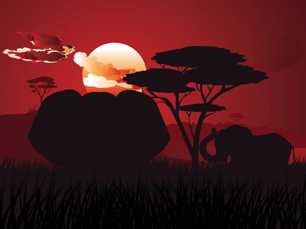 Pôr do sol africano com elefante — Vetor de Stock