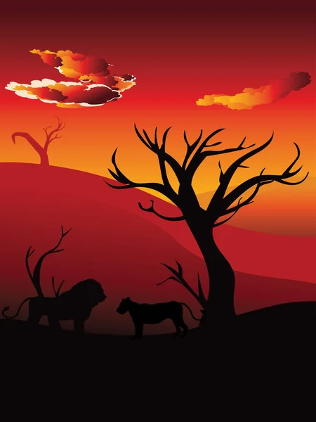 Coucher de soleil africain avec lion — Image vectorielle