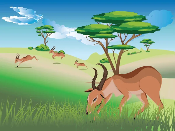 Landscape with Antelopes — Stock Vector