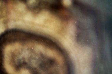 Odasında bulanık toz