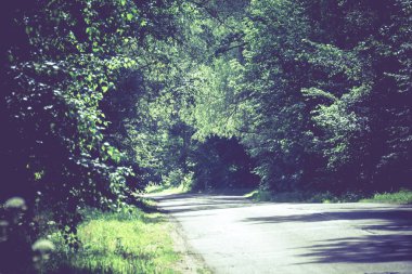 Güneşli kırık kırsal yol filtre