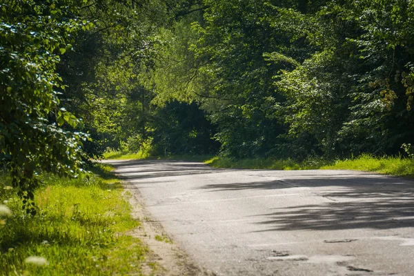 Güneşli kırık kırsal yol