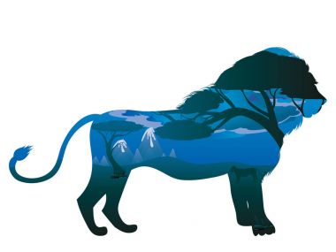 Aslan ile Afrika gecelerinde