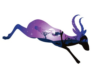 Antilop ile gece manzarası