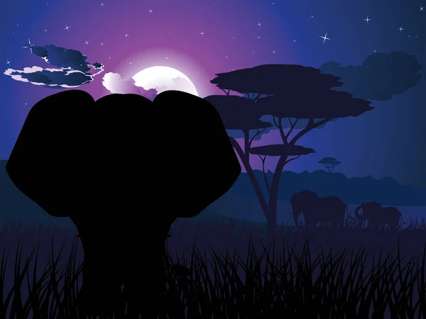 Noite Africana com Elefante — Vetor de Stock