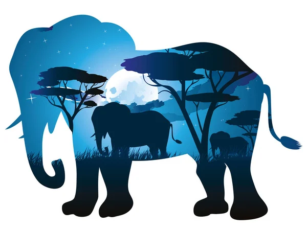 Afrikaanse nacht met olifant — Stockvector