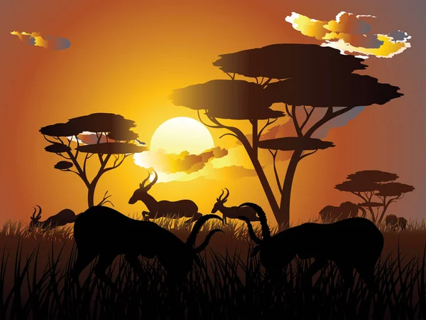 Antilop ile günbatımı manzara