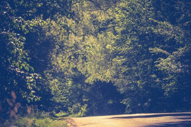 Güneşli kırık kırsal yol filtre