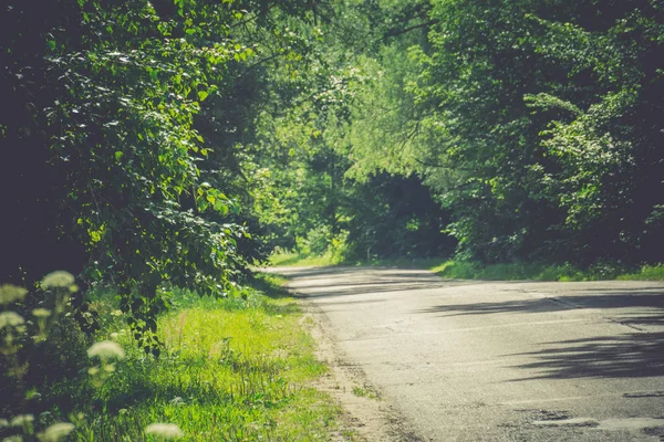 Güneşli kırık kırsal yol filtre