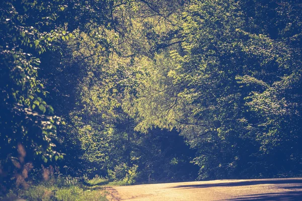 Güneşli kırık kırsal yol filtre