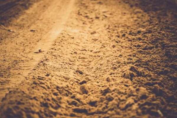 Radspur auf dem Sand gefiltert — Stockfoto