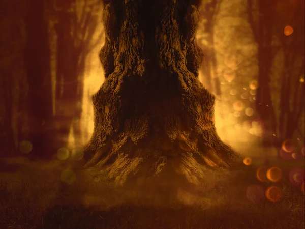 怪异的树在森林里 — 图库照片