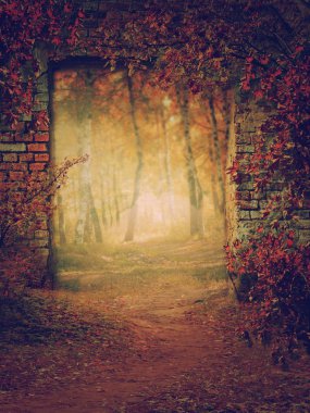 Aşırı büyümüş kırık kapı