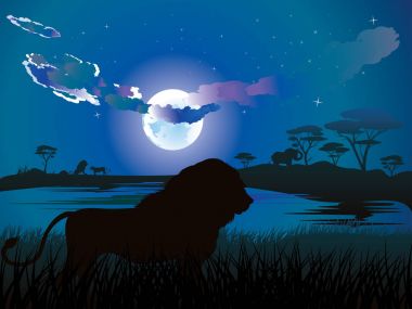 Aslan ile Afrika gecelerinde