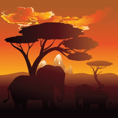 Fil ile Afrika günbatımı