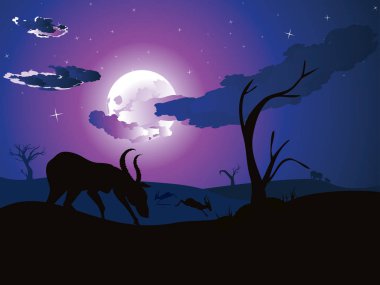 Antilop ile gece manzarası