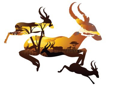 Antilop ile günbatımı manzara