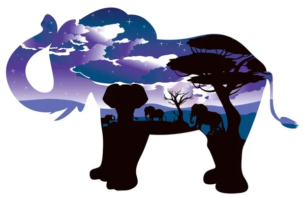 코끼리와 아프리카 밤 — 스톡 벡터