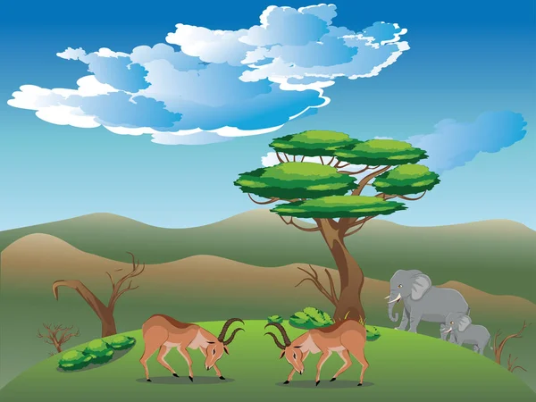 Landscape with Antelopes — Stock Vector