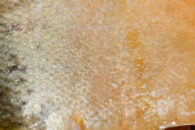 Balık makro ölçekler