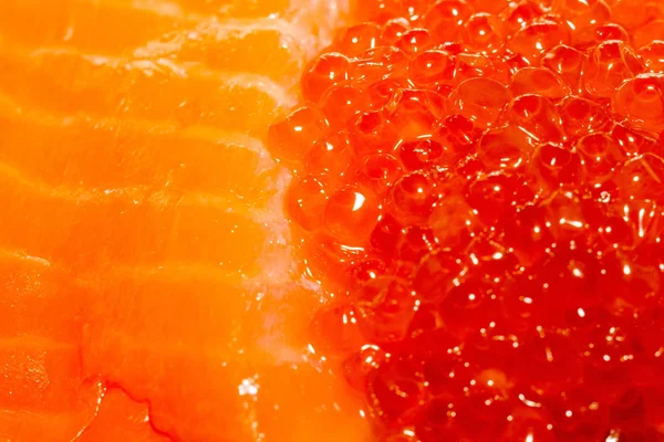 Filet de saumon cru — Photo