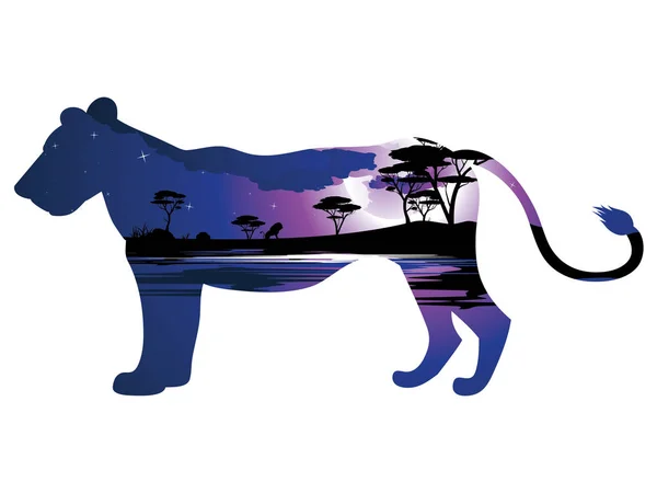Afrikanische Nacht mit Löwe — Stockvektor