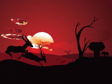 Antilop ile günbatımı manzara