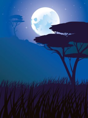 Afrika gece manzarası