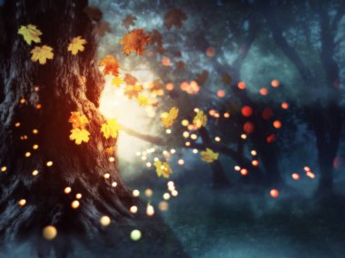 Karanlık sis ve ağaçlar