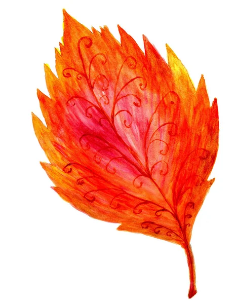 Folha de outono em aquarela — Fotografia de Stock
