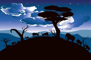 Antilop ile gece manzarası