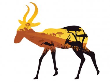 Antilop ile günbatımı manzara